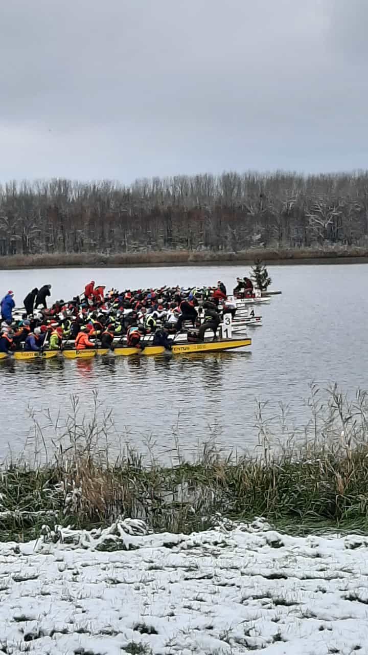 Race um den Tannenbaum