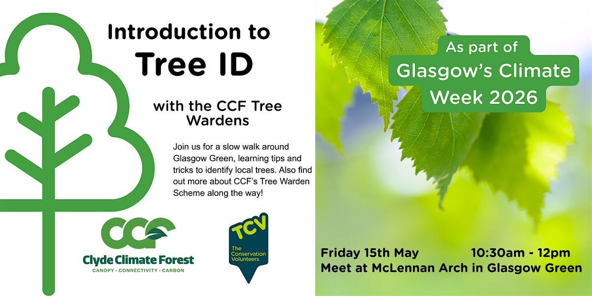 Introduction to Tree ID with CCF Tree Wardens