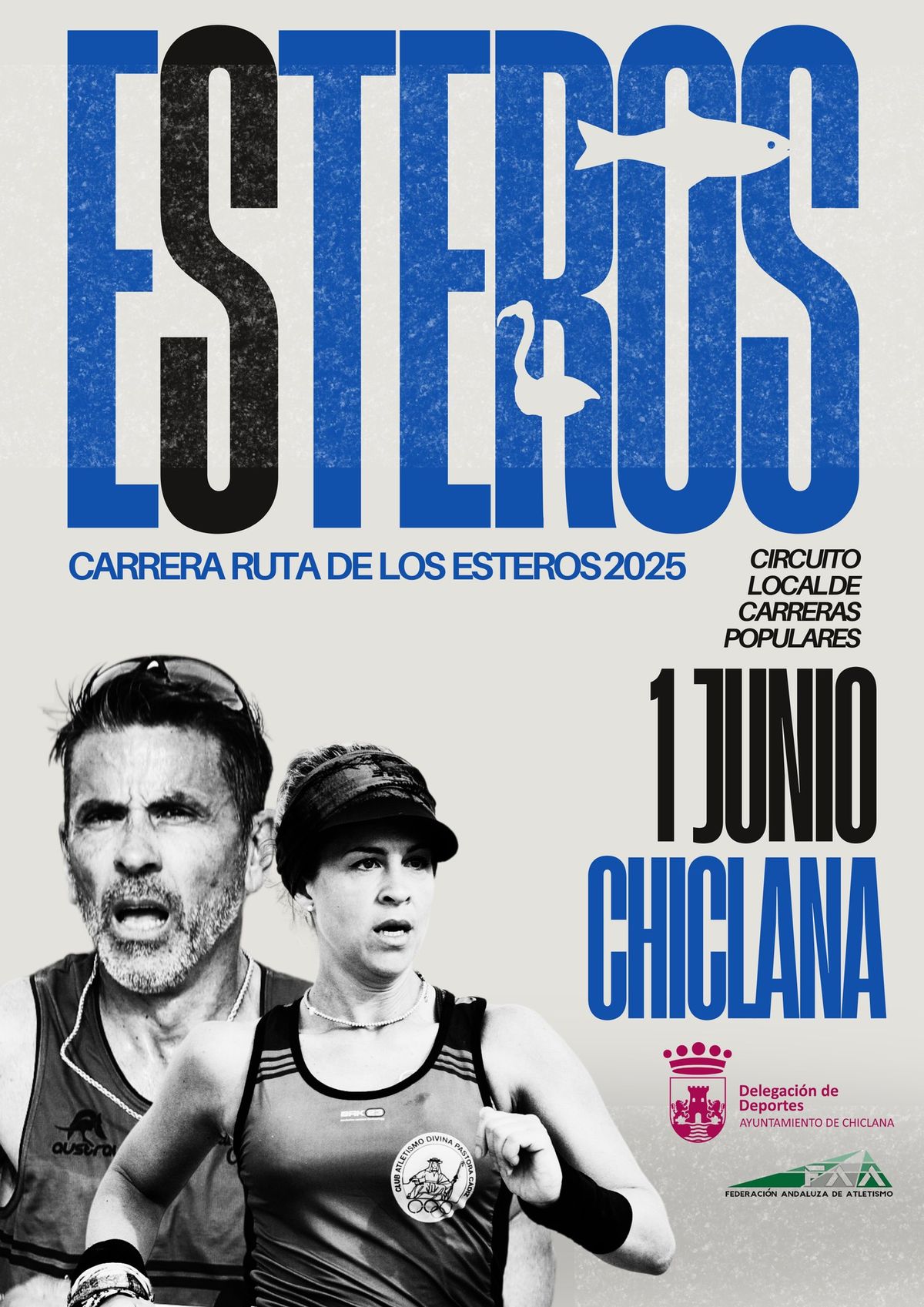 Carrera Ruta de los Esteros 2025