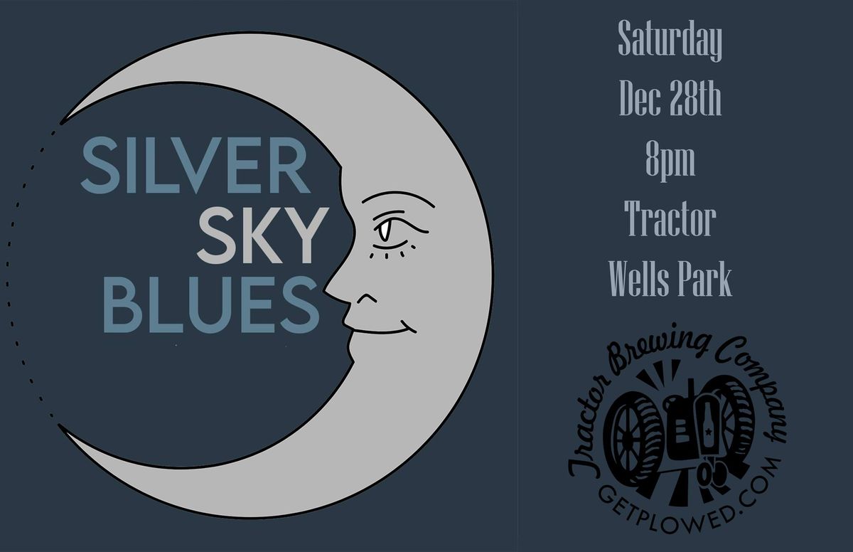 Silver Sky Blues Band Duo