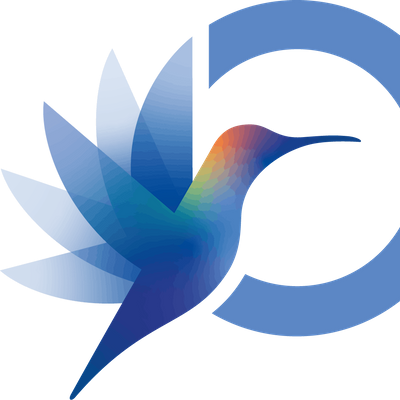 International Diabetes Federation