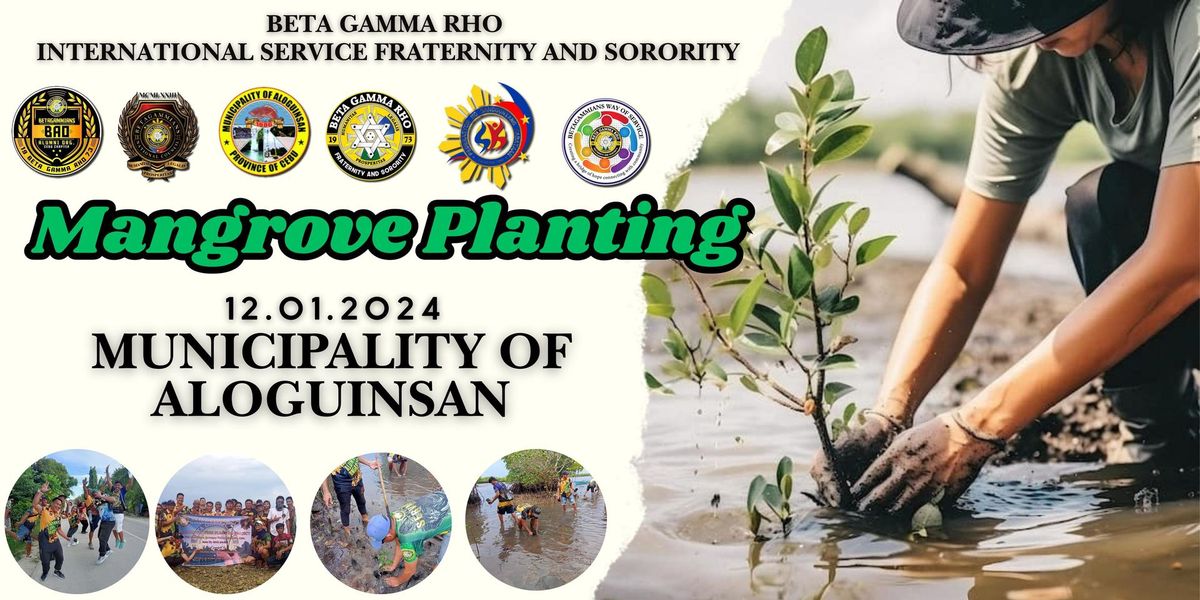 Mangrove Planting Activity