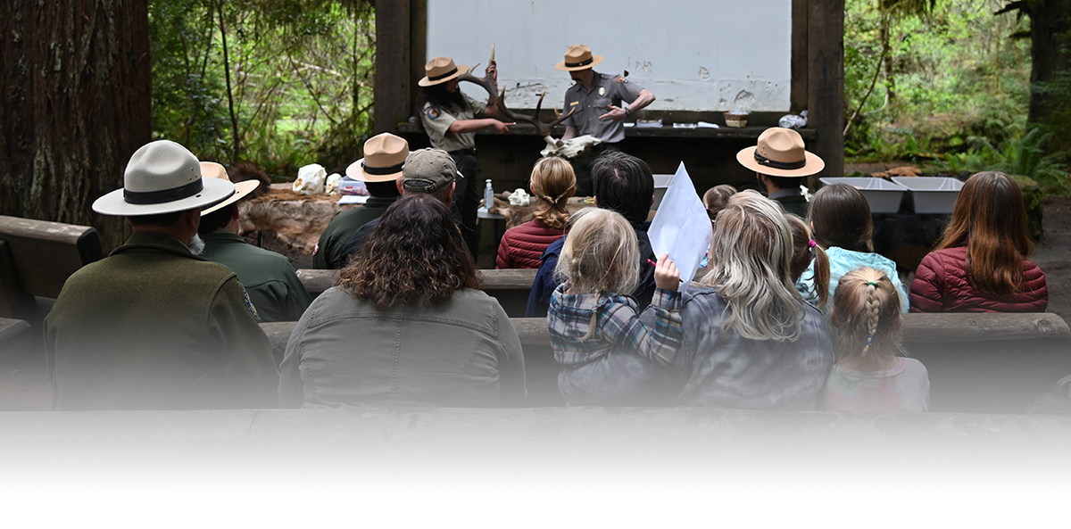 Parking Alter Bridge with Filter