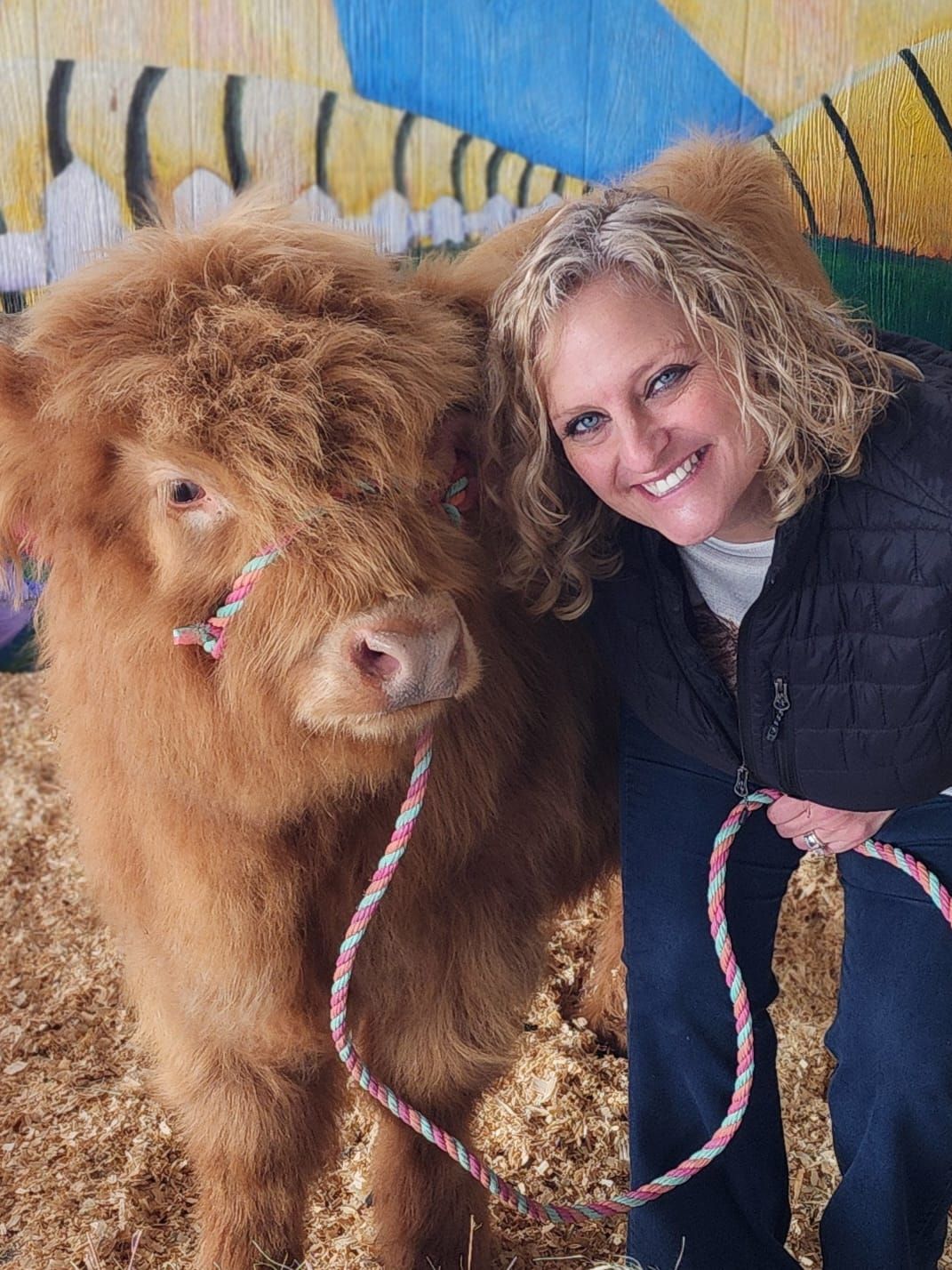 Meet Penny the Miniature Highland Cow