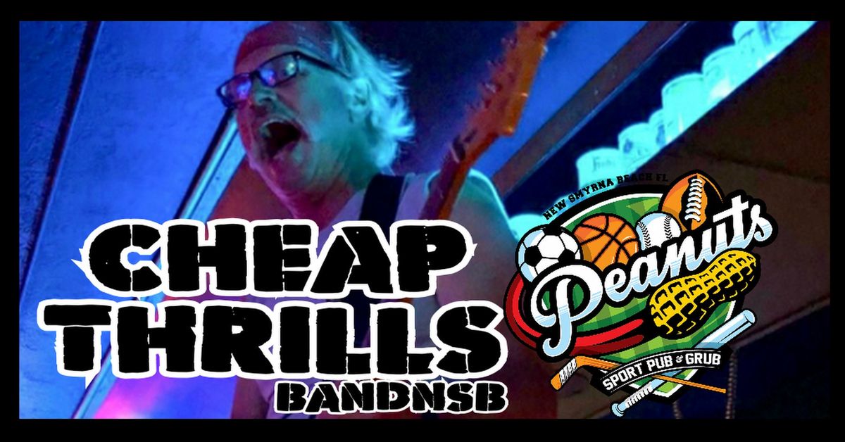 Cheap Thrills Band