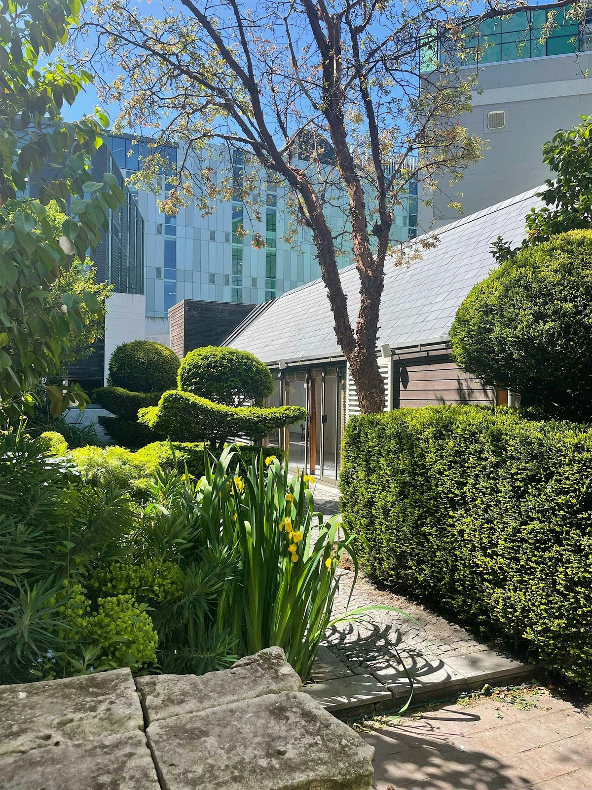 An afternoon in the garden with Robert Watson \u2013 Sir Miles Warren garden tou