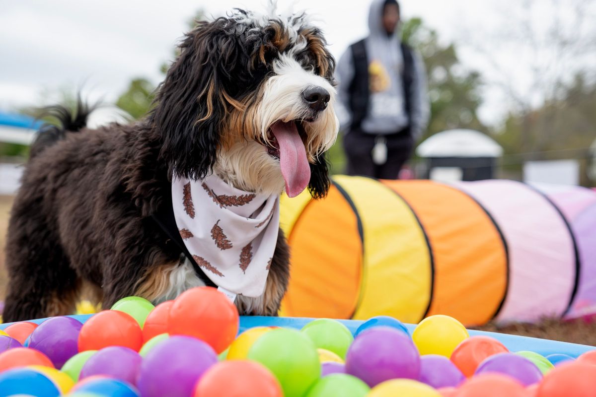 Yappy Hour