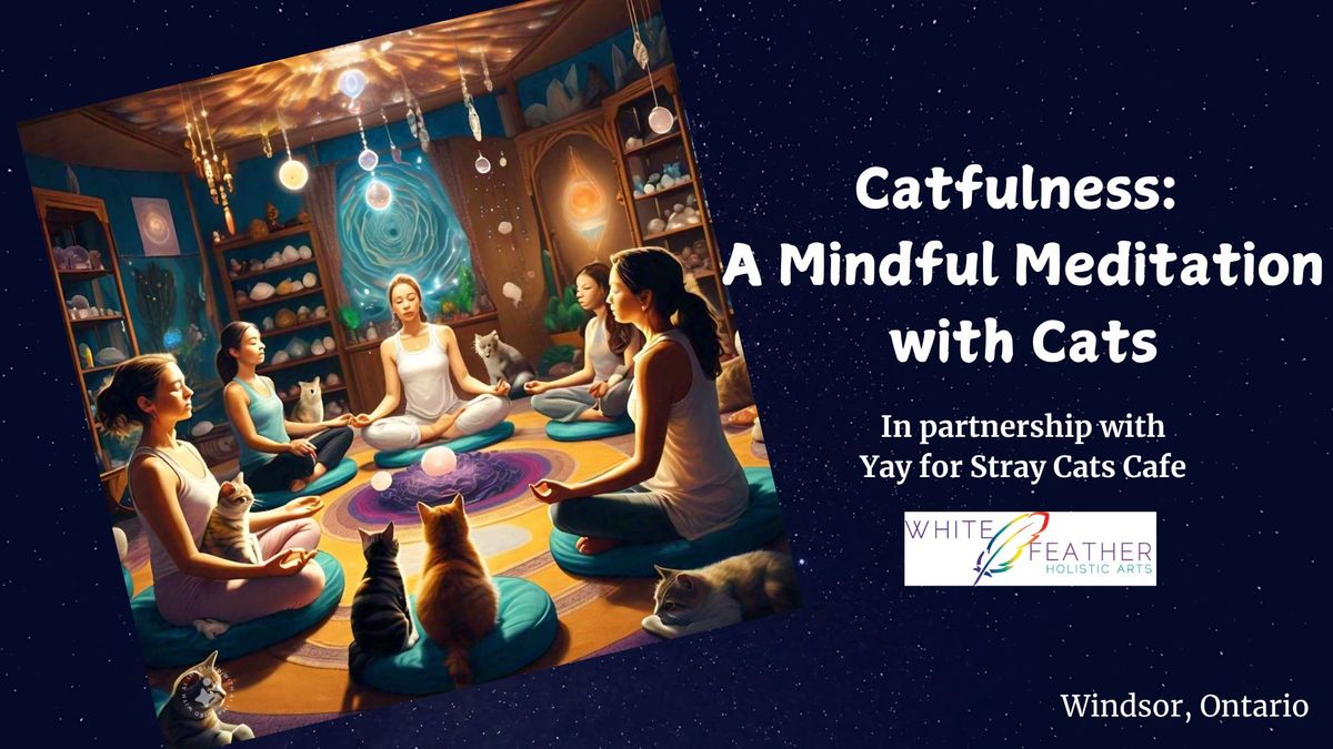 Catfulness - A Mindful Meditation & Healing With Cats