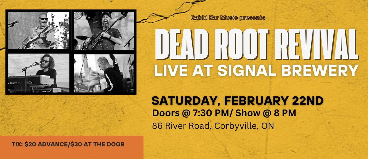 Dead Root Revival - Live at Signal Brewery