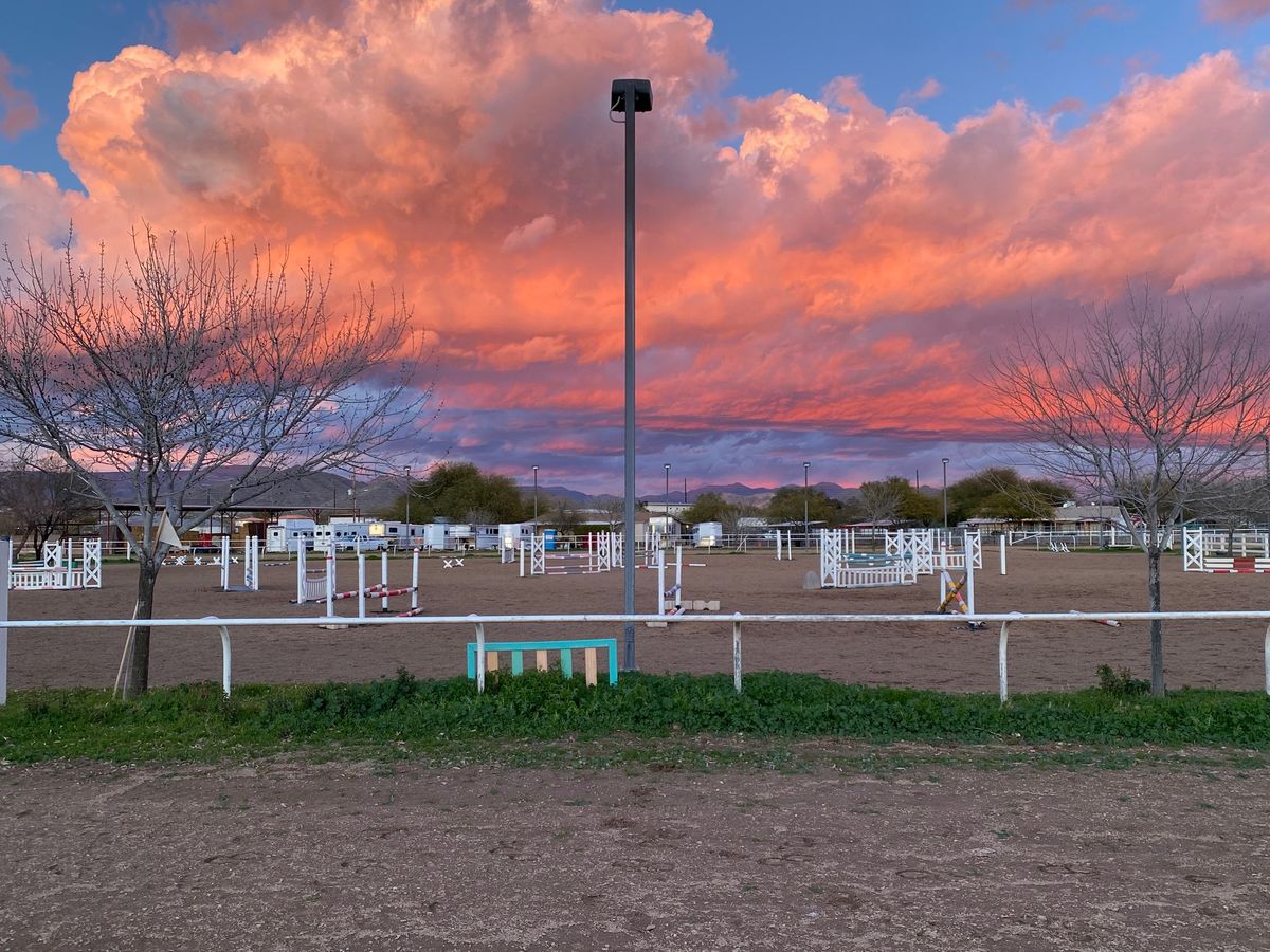 DSH Derby and Jumper Show