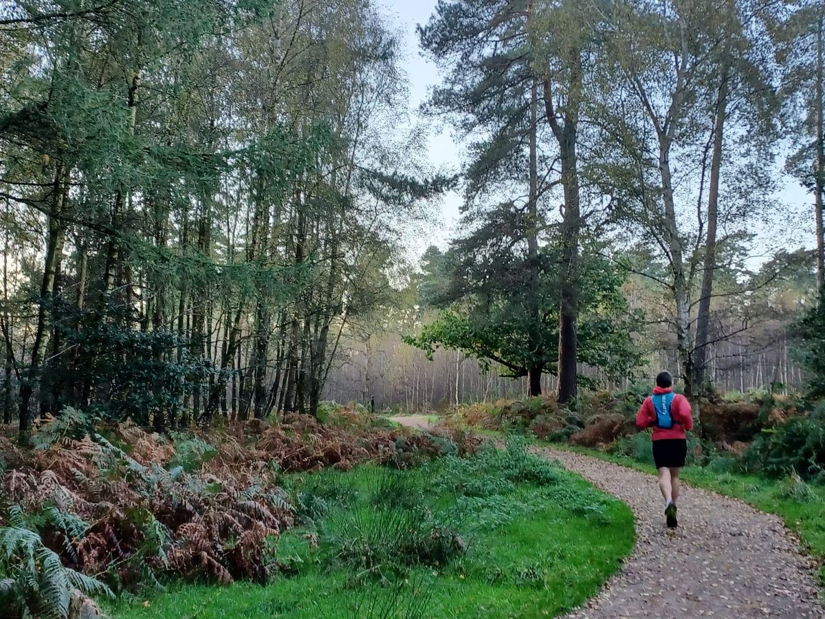 High Lodge 10k Guided Trail Run - Late December