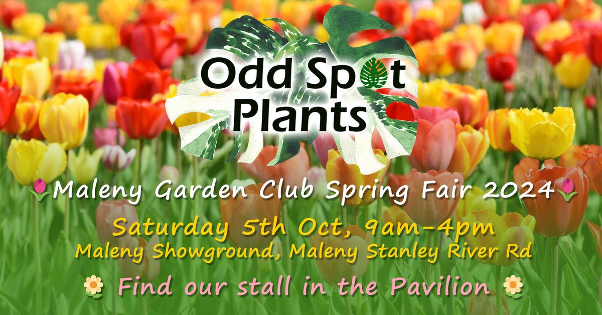 Maleny Spring Fair 2024 - Odd Spot Plants