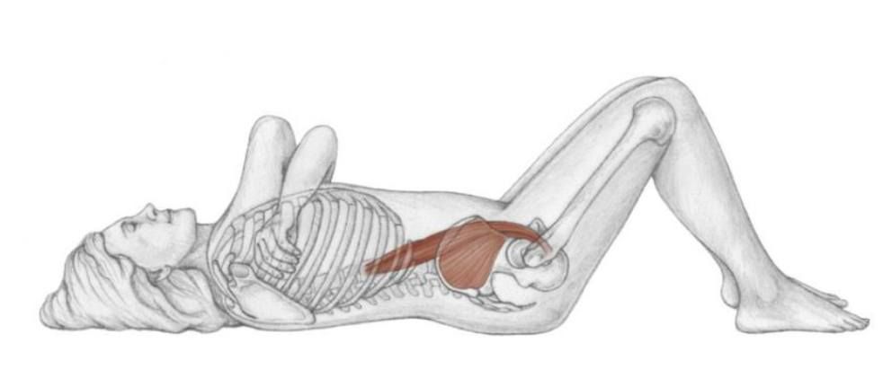 Masterclass Psoas: Portal to Your Soul