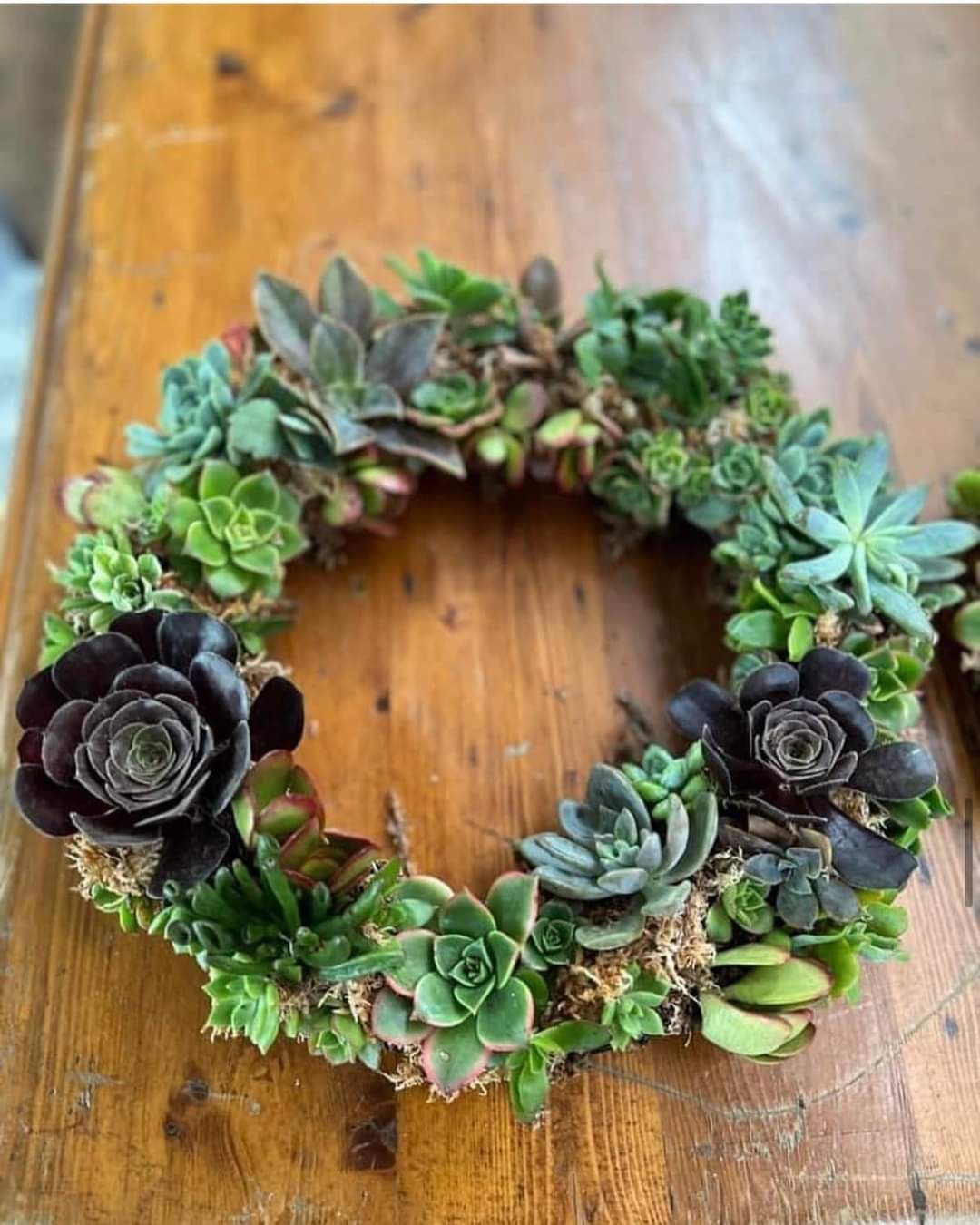 Succulent Wreath Workshop