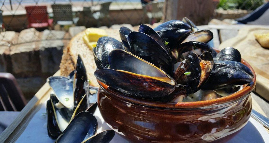 Taste East Devon Festival - Exmouth Mussel Hustle at Bumble and Bee