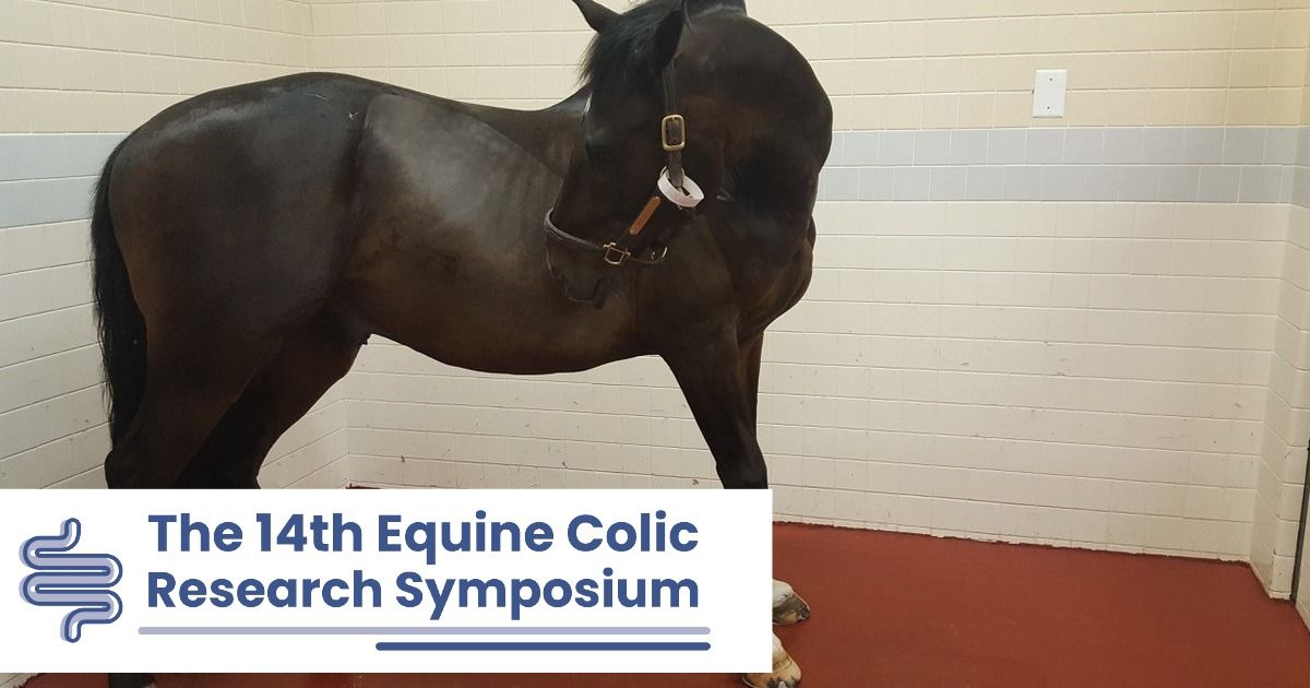 The 14th International Equine Colic Symposium