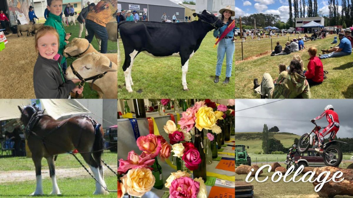 Community Bank Deloraine & Districts 2024 Deloraine Show, Highland