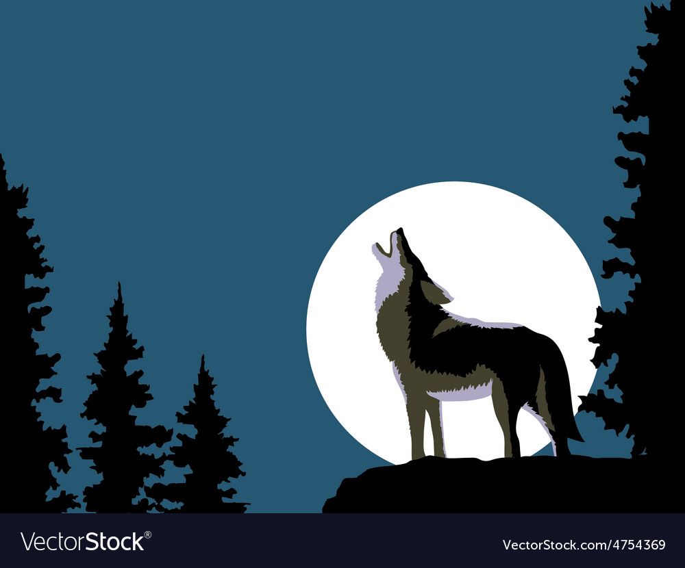 Full Wolf Moon Hike