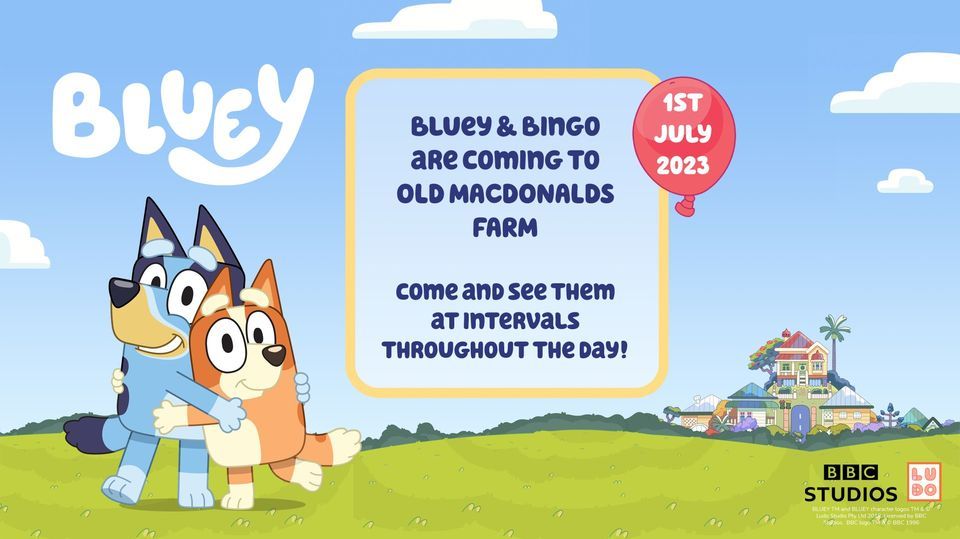 Bluey & Bingo