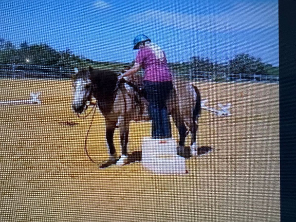 Horsemanship for the everyday rider: mounting block and speed control