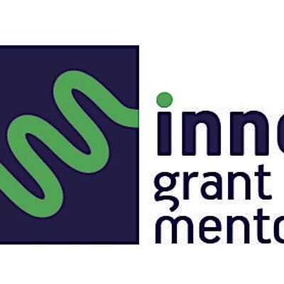Innovation Grant Mentoring Programme