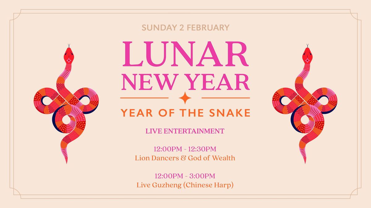 Lunar New Year - Lion Dance & Live Guzheng (Chinese Harp)