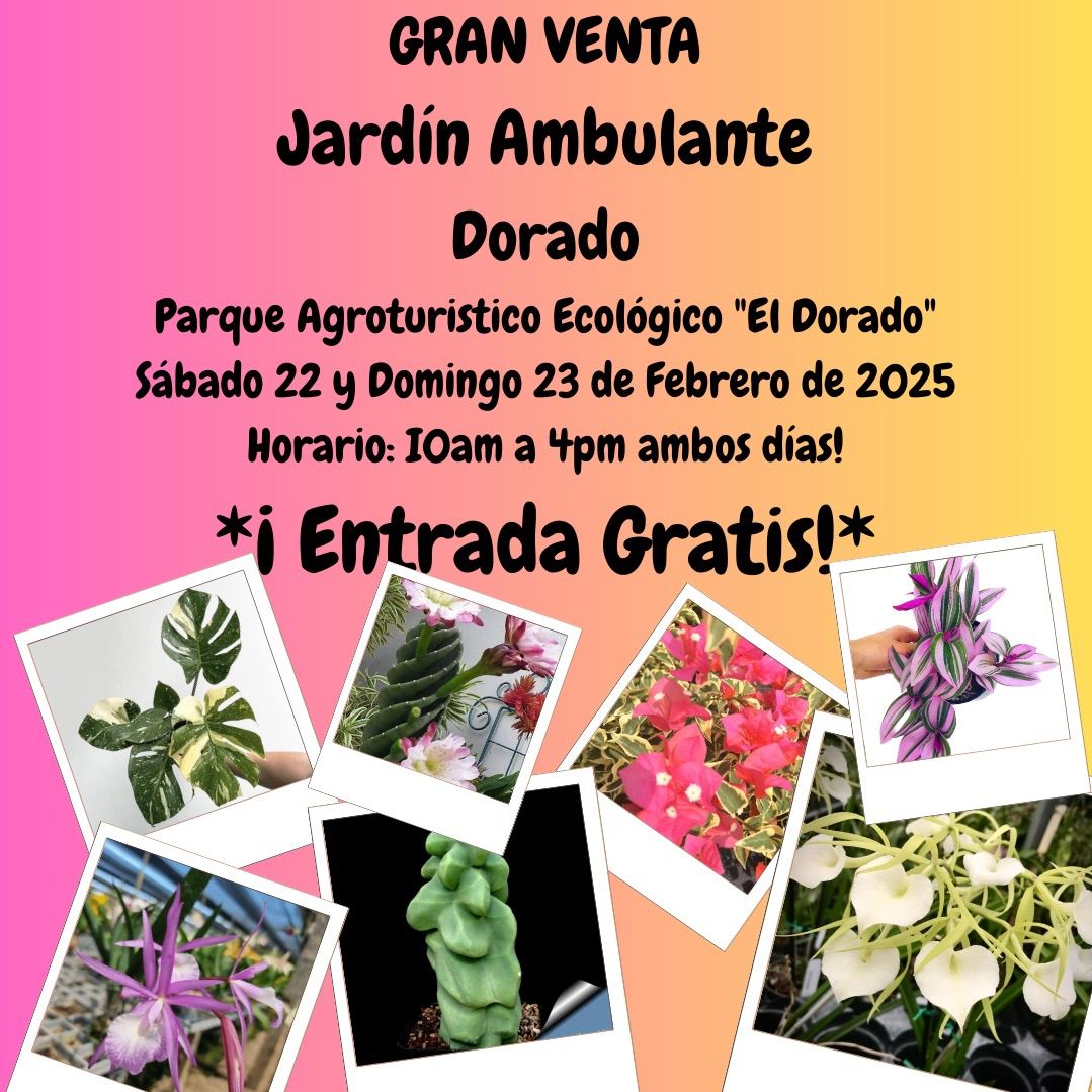 Dorado vuelve el Jard\u00edn ambulante! Venta Cactus, Suculentas, Rosas del Desierto, Carn\u00edvoras y mas!