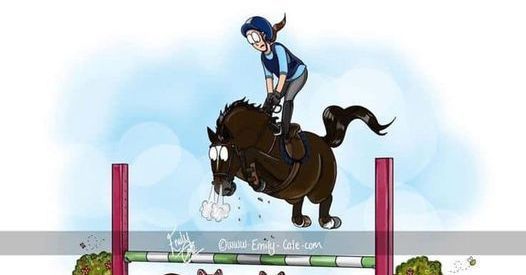 Wednesday Evening - Clear Round Showjumping