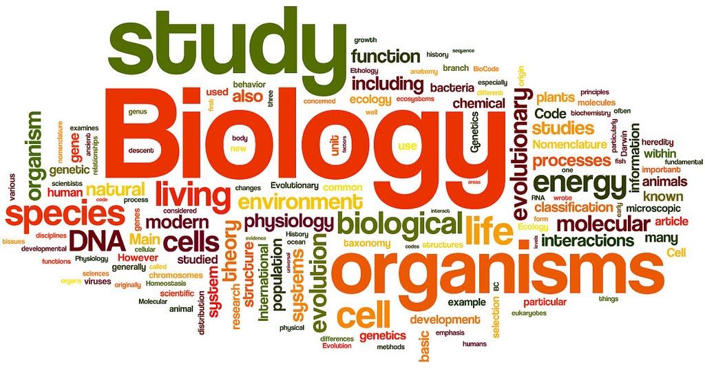 Biology November Exam Preparation