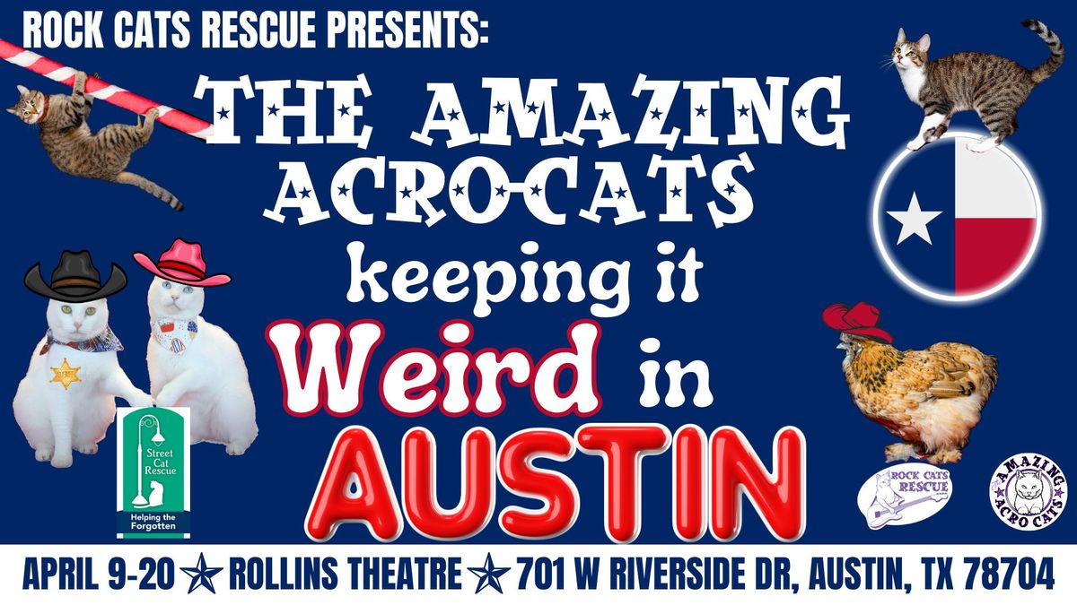 The Amazing Acro-Cats Keeping It Weird in Austin