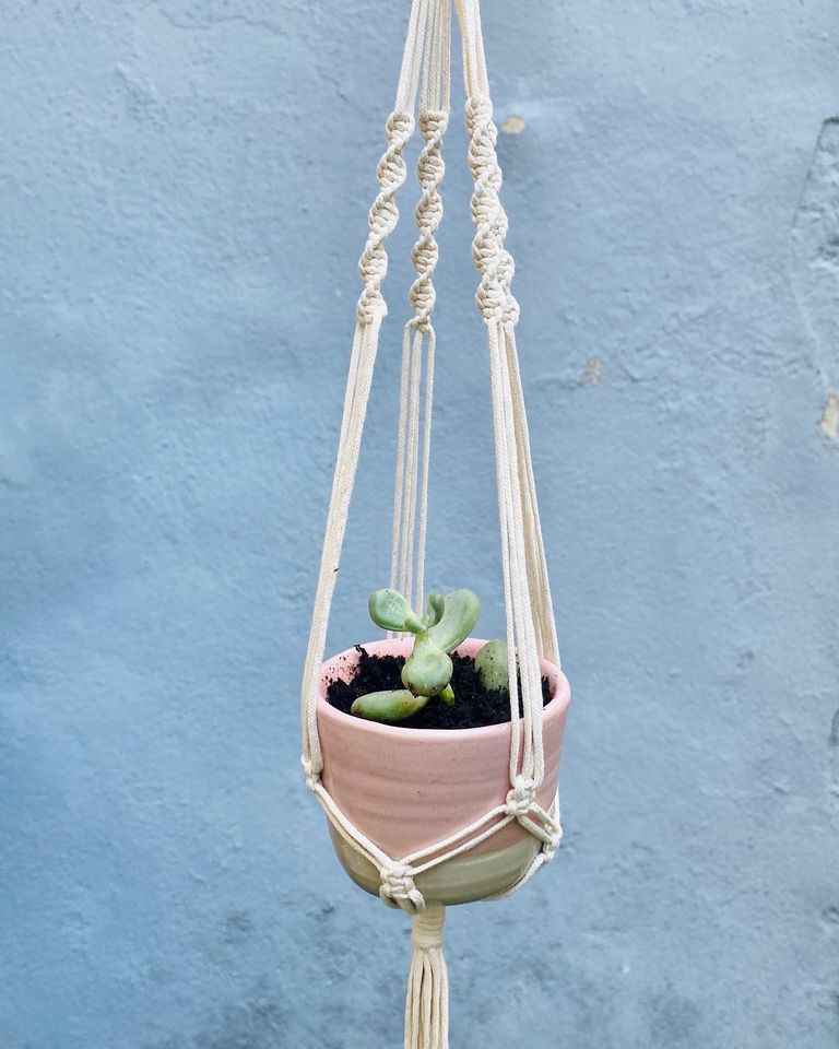 Atelier suspension de Plantes en Macram\u00e9