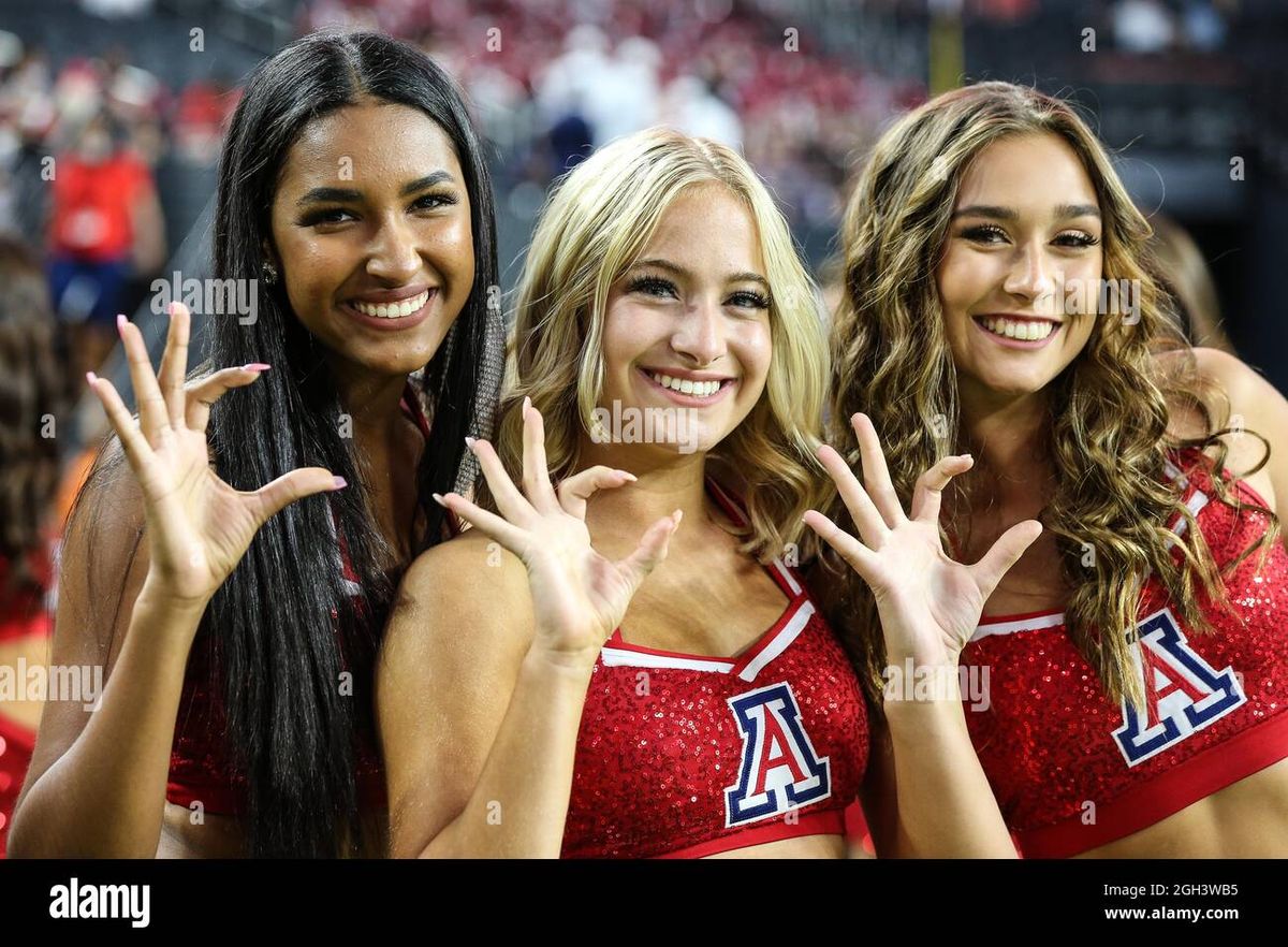 Arizona Wildcats at BYU Cougars Mens Basketball