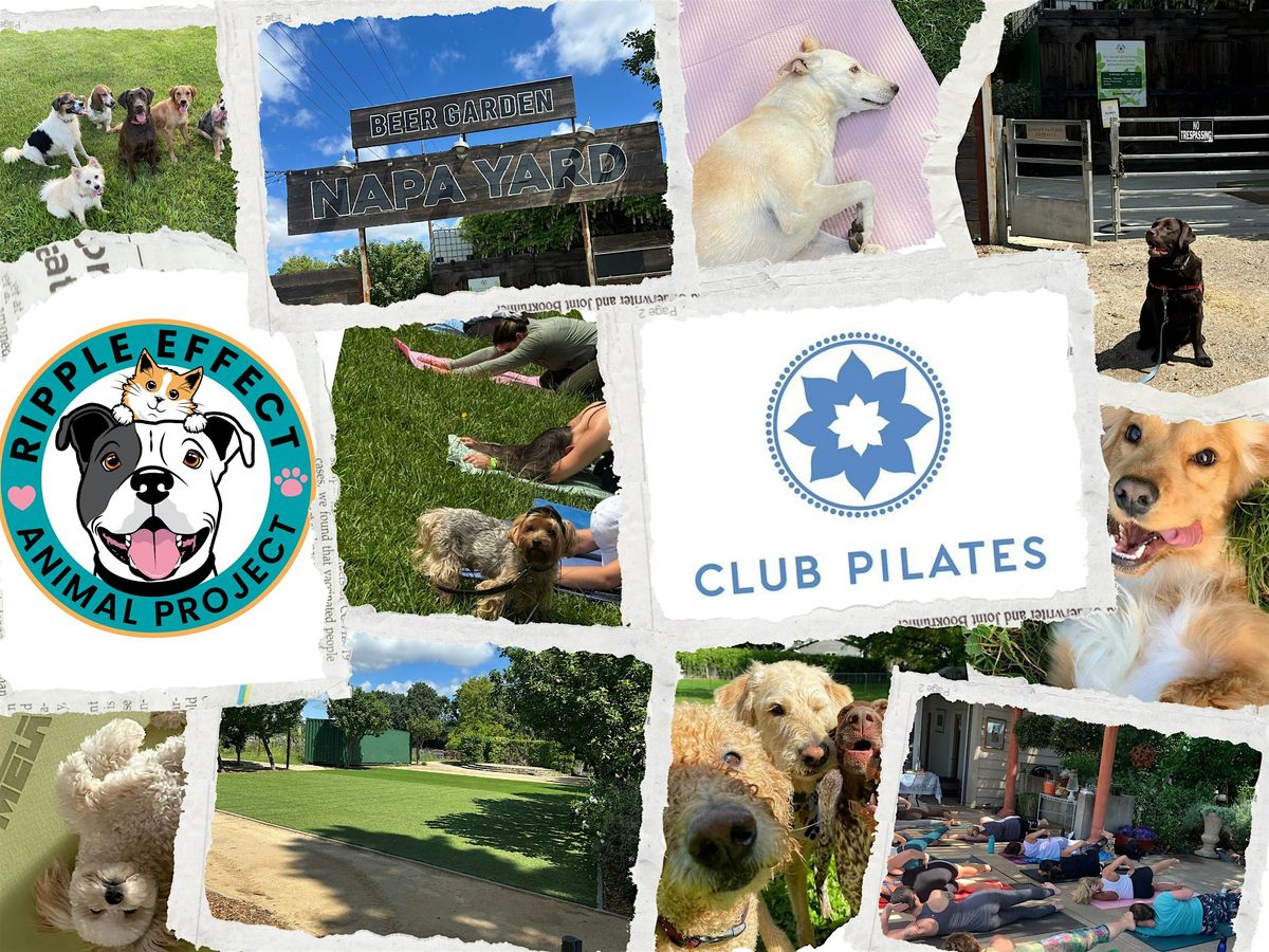 Pups & Pilates