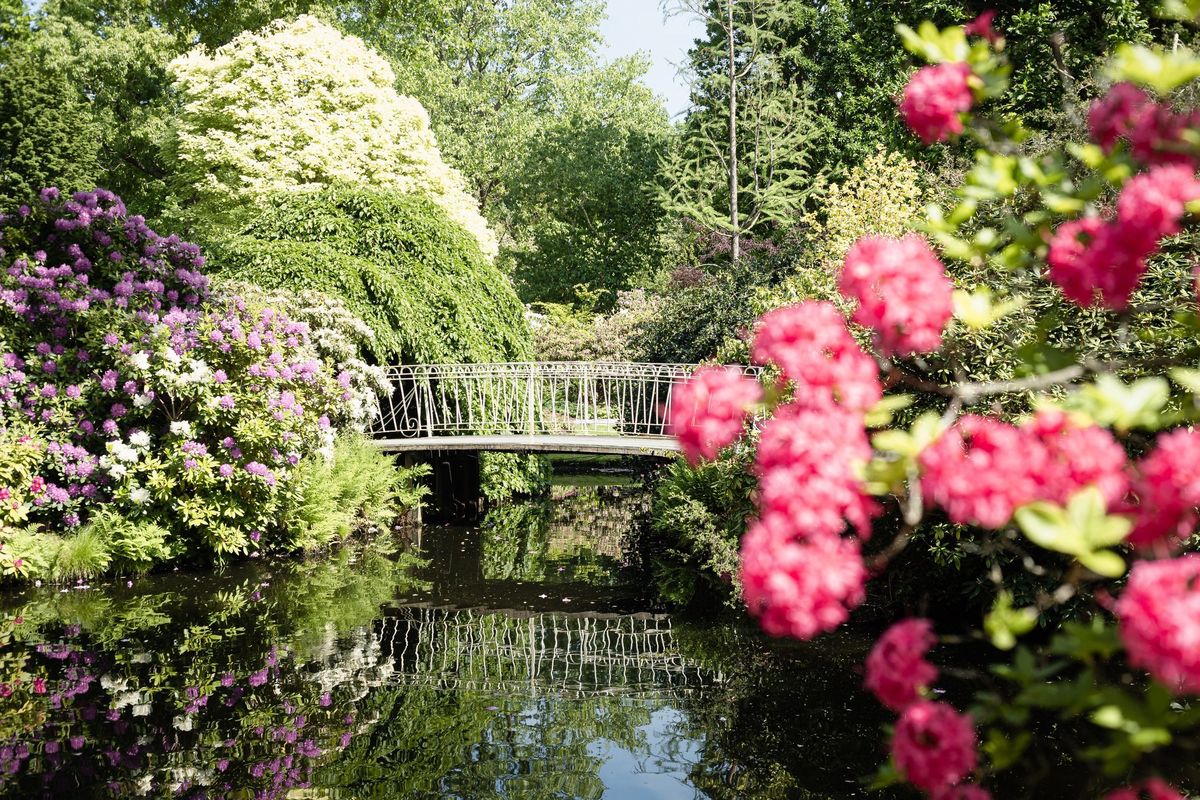 Excursie arboretum Trompenburg