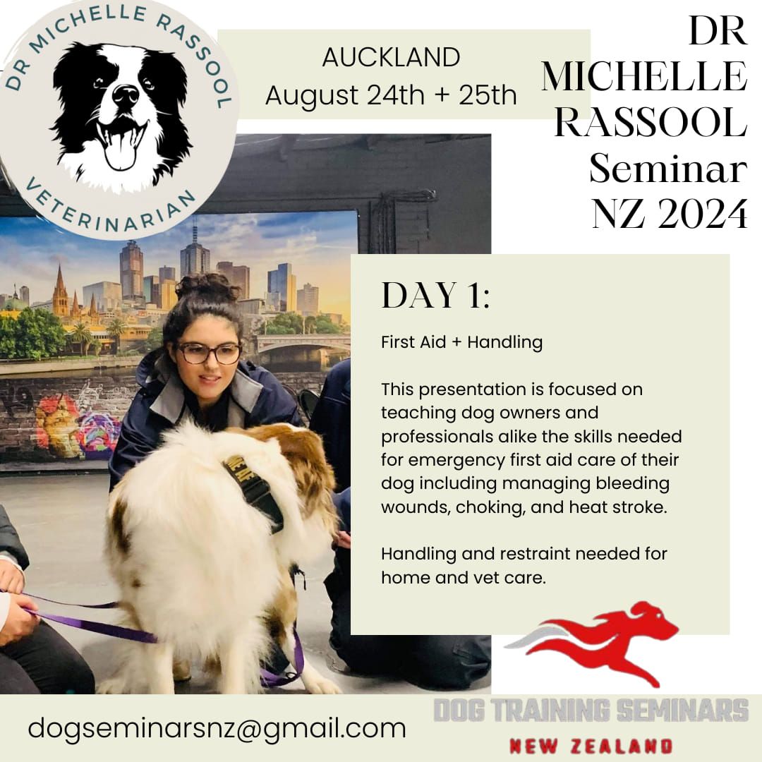 Dr Michelle Rassool Seminar NZ