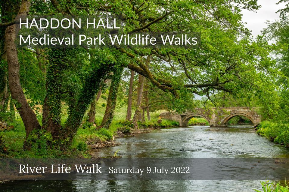 Wildlife Walk: The River Life of Haddon Medieval Park led by author and naturalist Christine Gregory