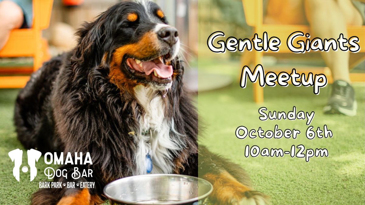 Gentle Giants Meetup at Omaha Dog Bar