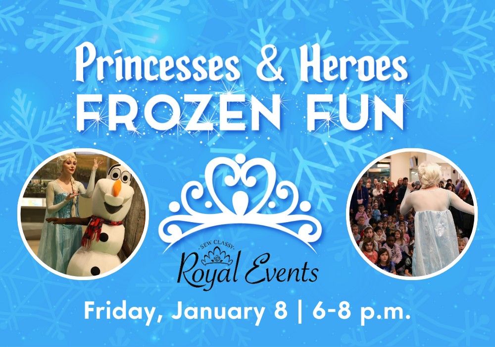 Princesses & Heroes: Frozen Fun