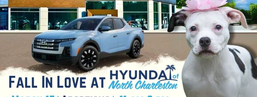 Fall in Love at Hyundai of North Charleston