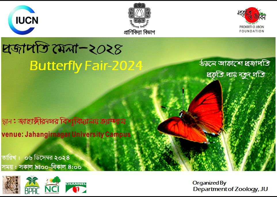 Butterfly Fair 2024