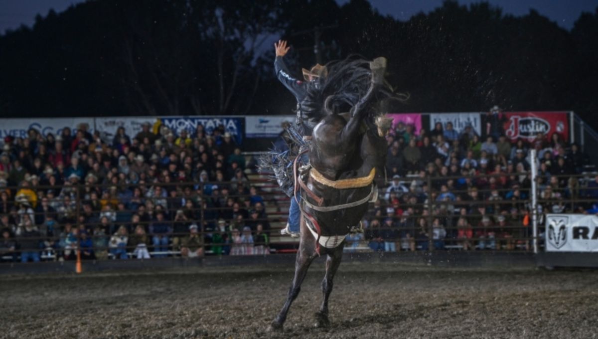 Livingston Roundup Rodeo at Park County Fairgrounds