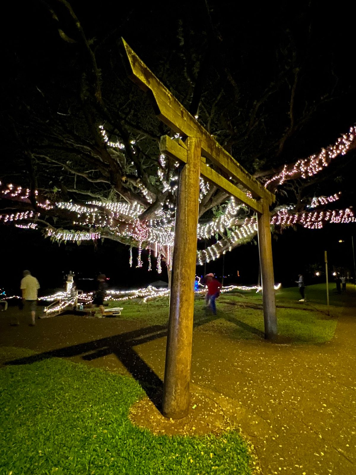 Garden Enchantment 8th annual Christmas in the Park