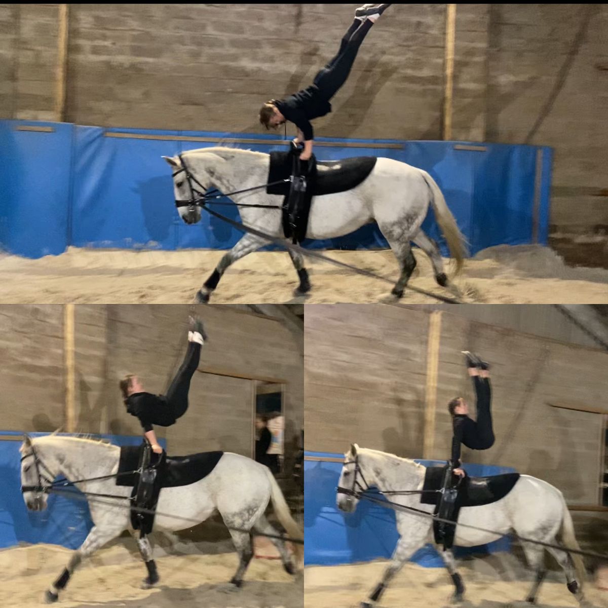 Vaulting coaches clinic -Breaking down compulsories