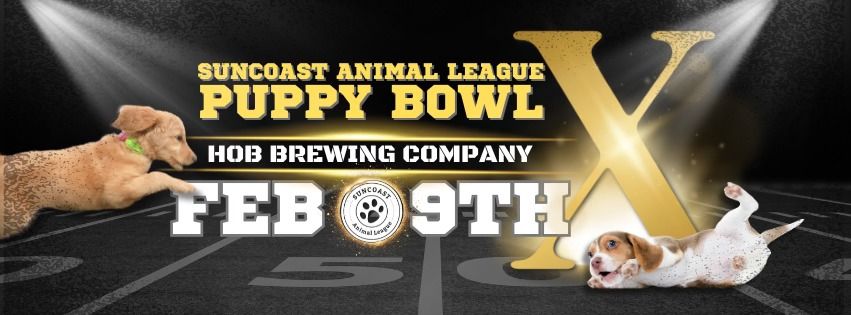 Puppy Bowl X - benefitting Suncoast Animal League!