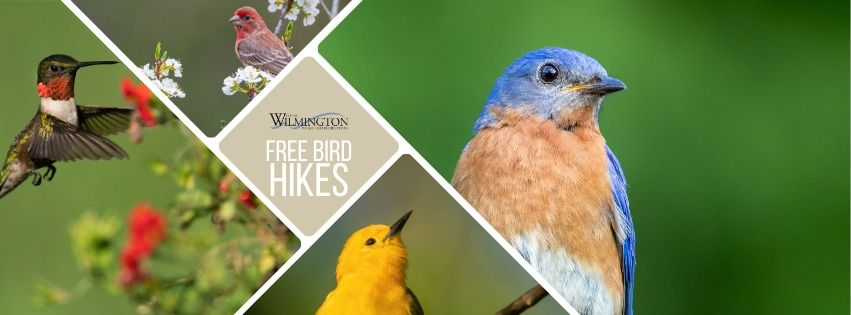 Free Bird Hikes - A Halyburton Park Program!