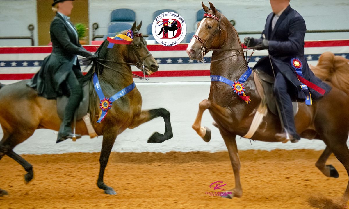 Big D Charity Horse Show 2025