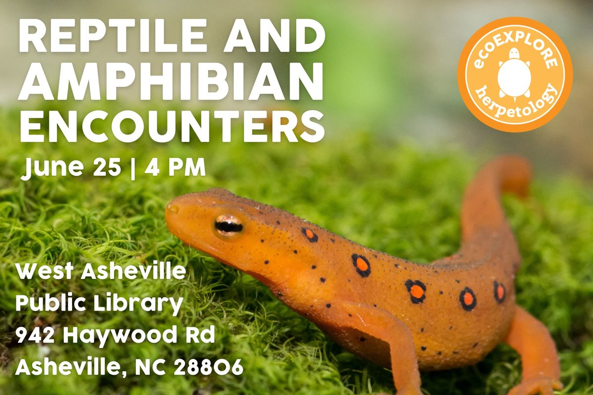 Reptile and Amphibian Encounters with ecoEXPLORE