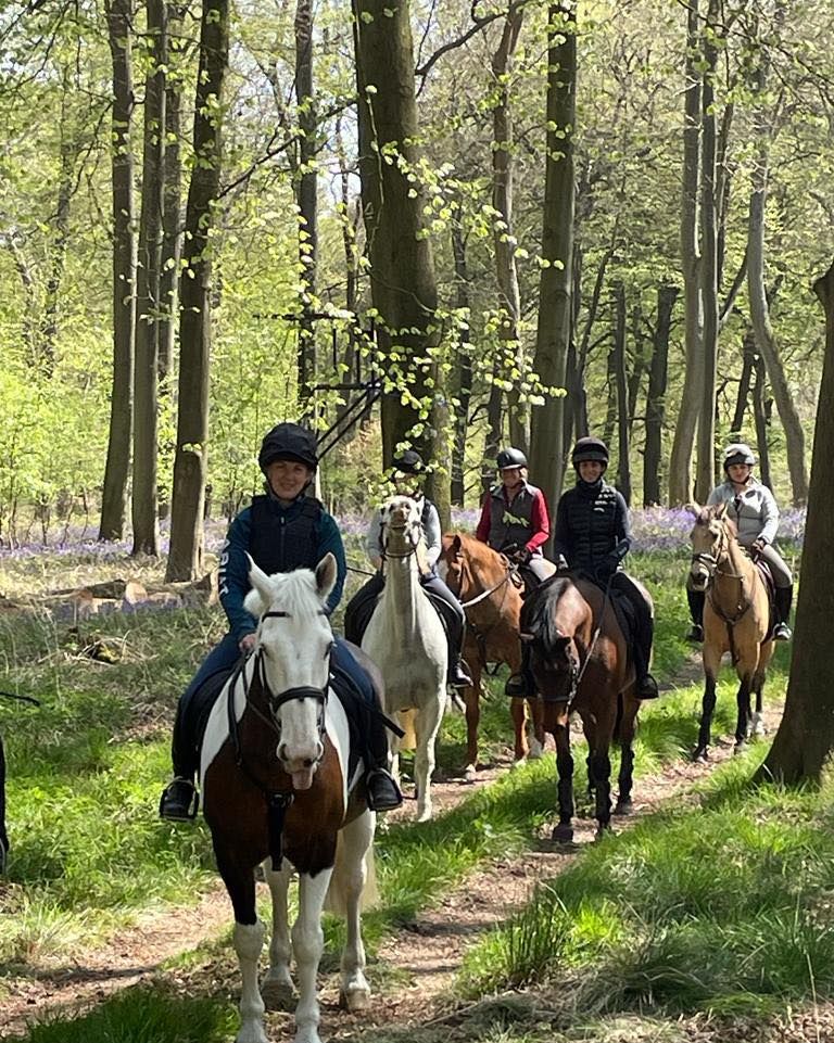 Cholsey Farm Riding  Guided Daffodil Ride