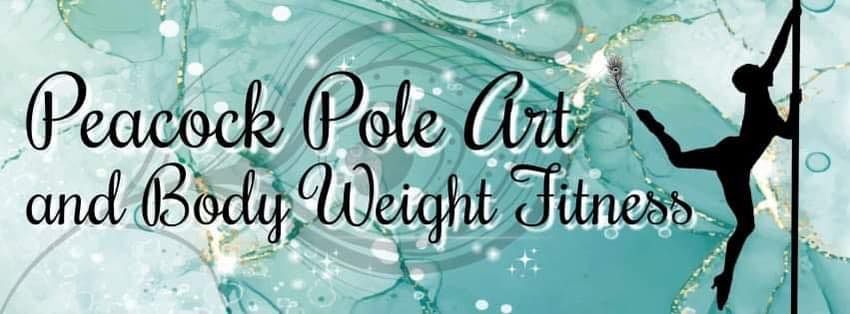 Pole Foundations: Intro to Pole Art Workshop