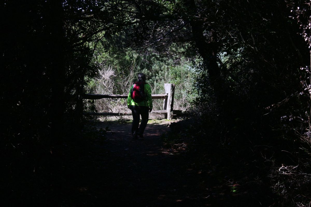 Hike: Tahkenitch Dunes